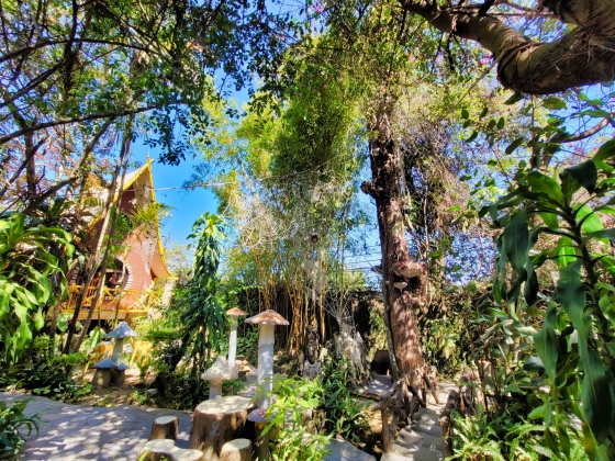 Hình ảnh mạng nhện